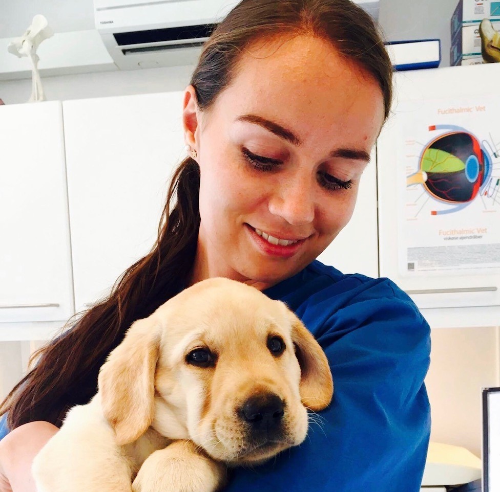 How a PhD student is using LinkedIn to find her next job