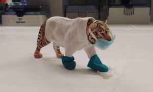 BioTiger